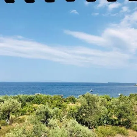 Elena's Vacation דירה
